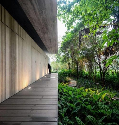 Дом в джунглях. 03