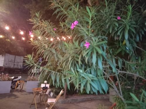 Влюбилась в Сочи после вечерней прогулки. 01