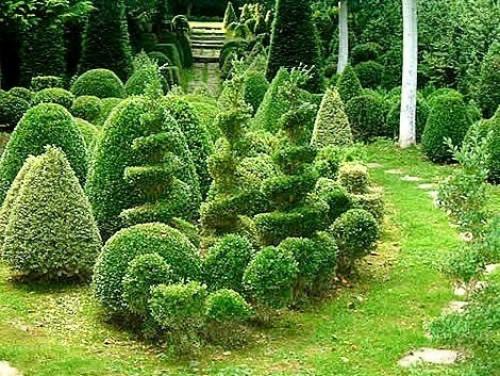 Семь модных идей для дачного сада. 05