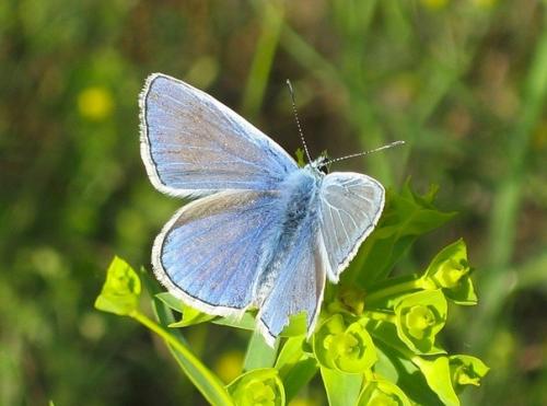 А вы знали, что. 01