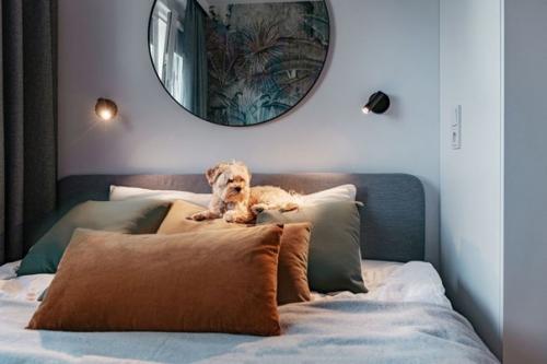 Современный, яркий интерьер квартиры - студии площадью 37 кв. 07