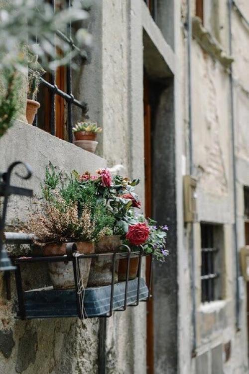 Цветы помогут украсить любой интерьер, только выбирайте их в соответствии со стилем вашей квартиры или дома. 06