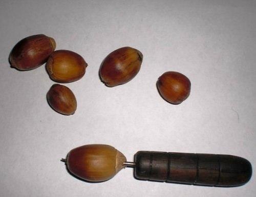 Мы делаем виноградную кисть из желудей. 01 Мы делаем виноградную кисть из желудей. 01