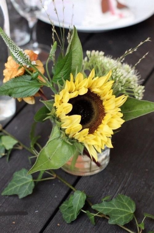 Цветы помогут украсить любой интерьер, только выбирайте их в соответствии со стилем вашей квартиры или дома. 02