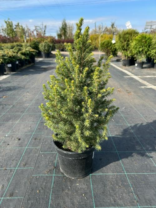 В это воскресенье отмечается профессиональный праздник день учителя. 03 В это воскресенье отмечается профессиональный праздник день учителя. 03