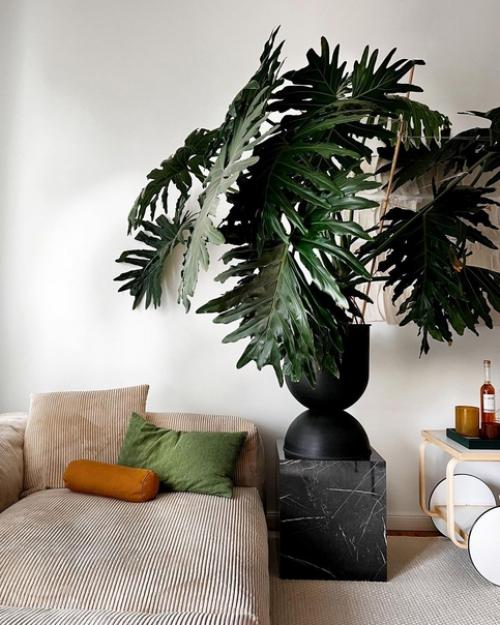 Избавьтесь от вещей! 02 Избавьтесь от вещей! 02