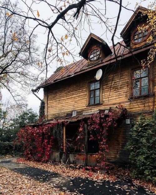 Таким образом, если проехать по нашей ветке несколько станций можно оказаться в сказочном тимирязевском парке. 08