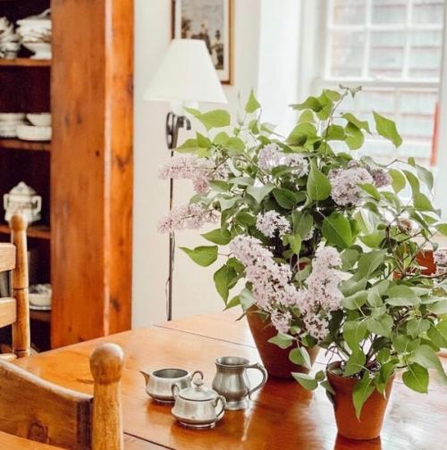 Уютный интерьер в небольшом доме семьи коллекционеров. 04