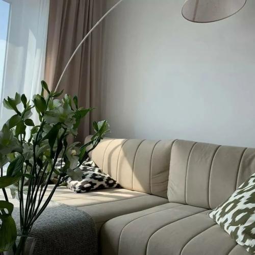 Сама себе архитектор. 03