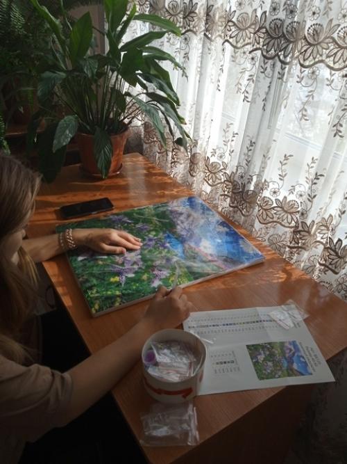 Алмазная мозаика - направление рукоделия, которое появилось недавно, но сразу стало очень популярным. 05