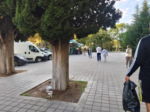 Влюбилась в Сочи после вечерней прогулки. 09