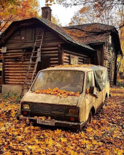 Таким образом, если проехать по нашей ветке несколько станций можно оказаться в сказочном тимирязевском парке. 09