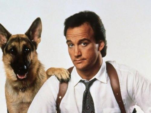 Проклятие любой породы. 03