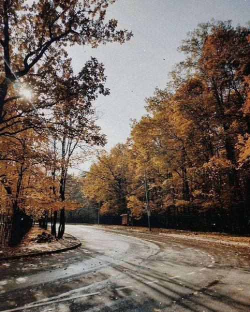 Таким образом, если проехать по нашей ветке несколько станций можно оказаться в сказочном тимирязевском парке. 05