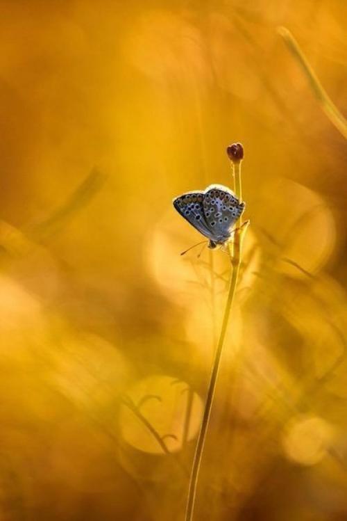 Самых дорогих нам людей мы постоянно с собой носим. 02
