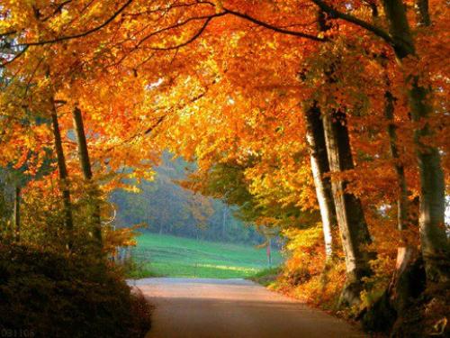 Лайфак: как бесплатно сходить на экскурсию. 02 Лайфак: как бесплатно сходить на экскурсию. 02