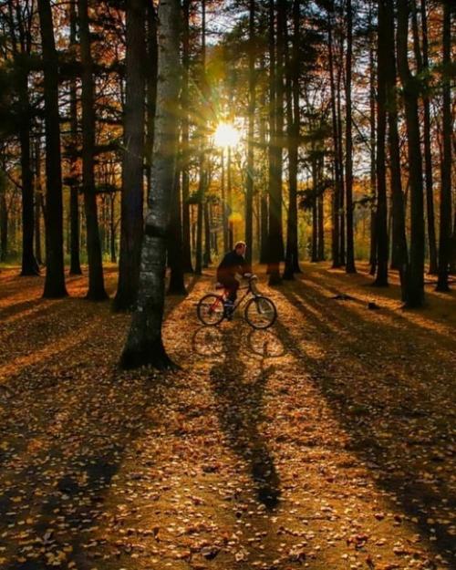 Таким образом, если проехать по нашей ветке несколько станций можно оказаться в сказочном тимирязевском парке. 07