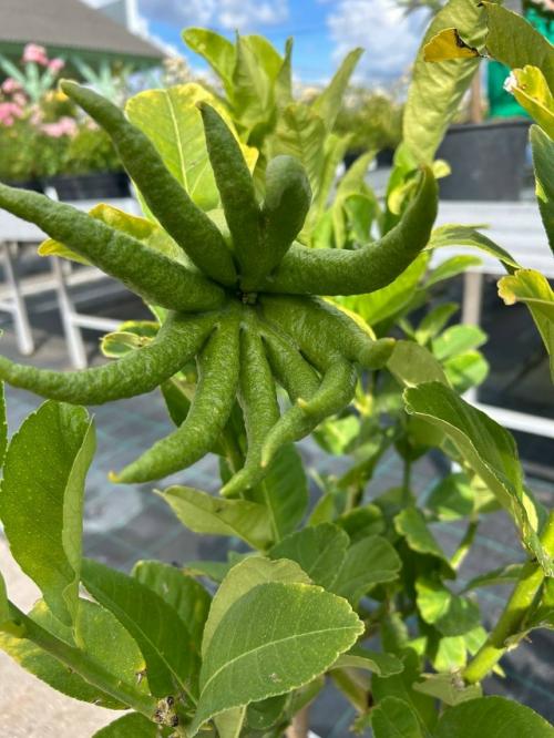 В это воскресенье отмечается профессиональный праздник день учителя. 04 В это воскресенье отмечается профессиональный праздник день учителя. 04