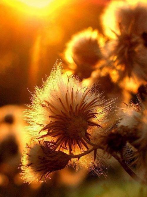 Самых дорогих нам людей мы постоянно с собой носим. 05