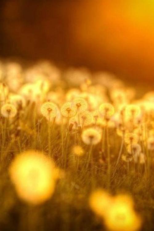 Самых дорогих нам людей мы постоянно с собой носим. 03