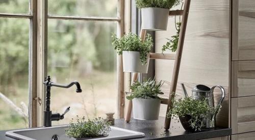 Как вы к комнатным растениям в интерьере относитесь? 05