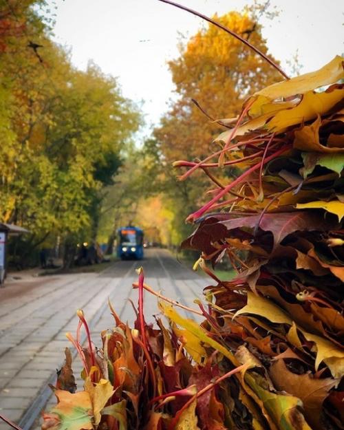 Таким образом, если проехать по нашей ветке несколько станций можно оказаться в сказочном тимирязевском парке. 01