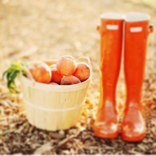 Доброе утро!  Пусть маленькие радости делают приятным каждый день, а приятные дни складываются в счастливую жизнь! 04