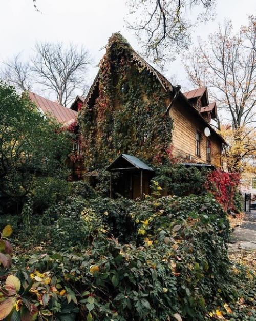 Таким образом, если проехать по нашей ветке несколько станций можно оказаться в сказочном тимирязевском парке. 02