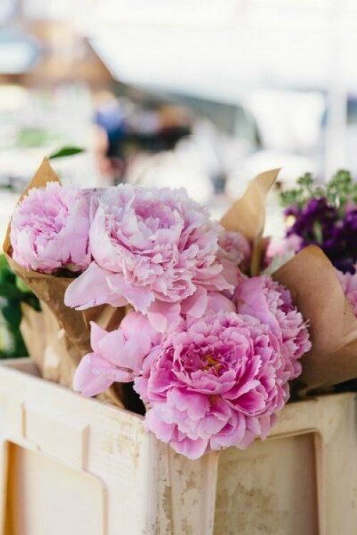 Цветы помогут украсить любой интерьер, только выбирайте их в соответствии со стилем вашей квартиры или дома. 04