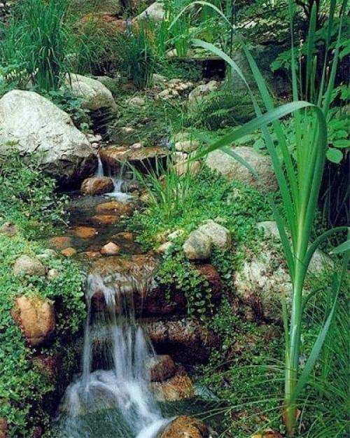 Семь модных идей для дачного сада. 01