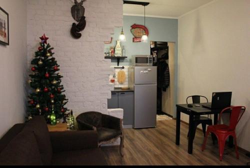 Моя квартира - студия, общая площадь 25 кв. 05