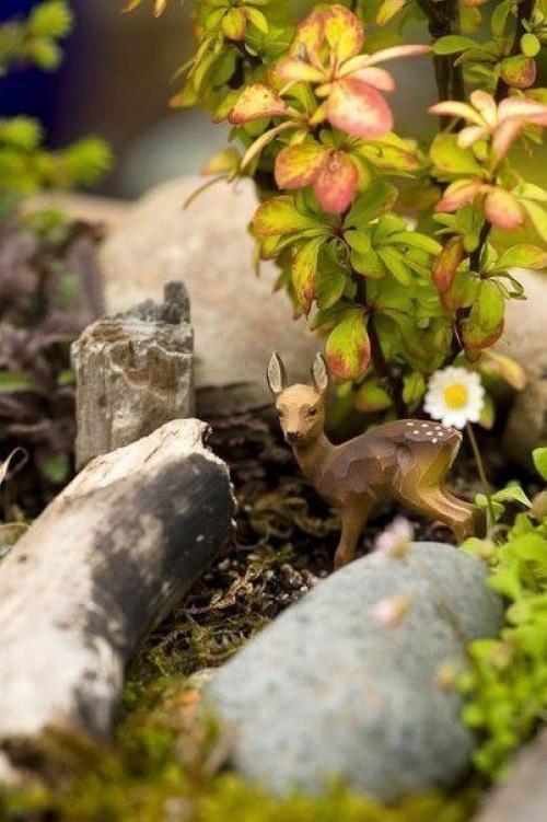 Миниатюрные садики. Пускай дома всегда будет весна! 04