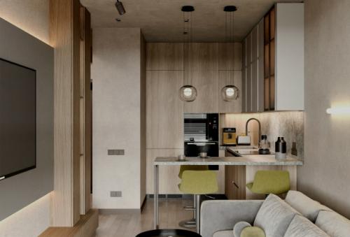 Проект однокомнатной квартиры 36 м 2 в центре Санкт-петербурга. 01