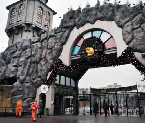 В московском зоопарке установят три новогодние фотозоны.