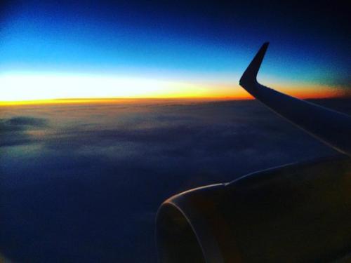 Ребятаа!  Я в Артек 'е. все потраченные нервы в дороге компенсировал обалденный воздух.