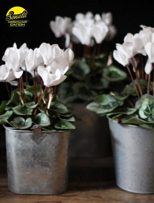 Все девушки и женщины пристрастно относятся к домашнему уюту, его созданию и поддержанию. 08