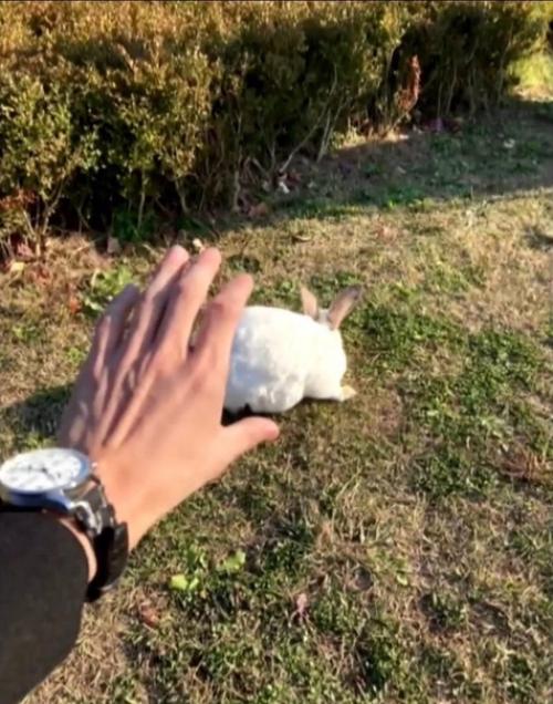 я Один Живу. 04