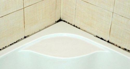 Как избавиться от плесени и грязных швов между плиткой? 

