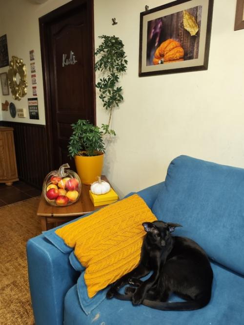 Недели через три пора будет менять декор квартиры на зимний, а я ещё осенним не похвасталась. 05