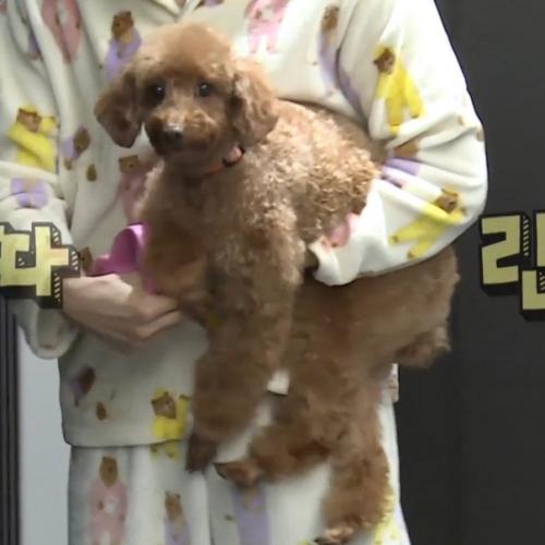 я Один Живу. 01