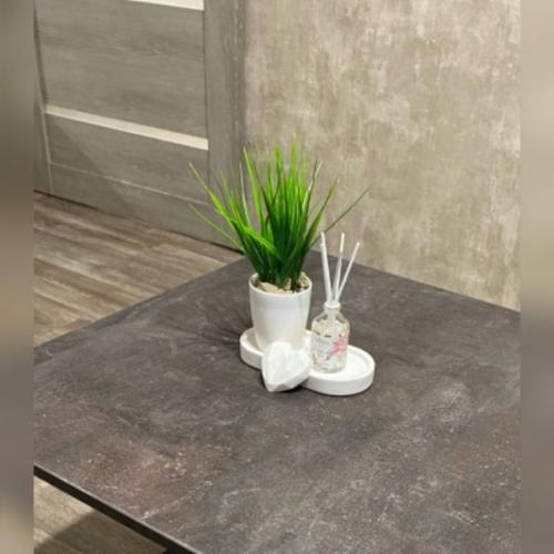 Смотрите, как преображается интерьер от присутствия сочной зелёной травки. 07