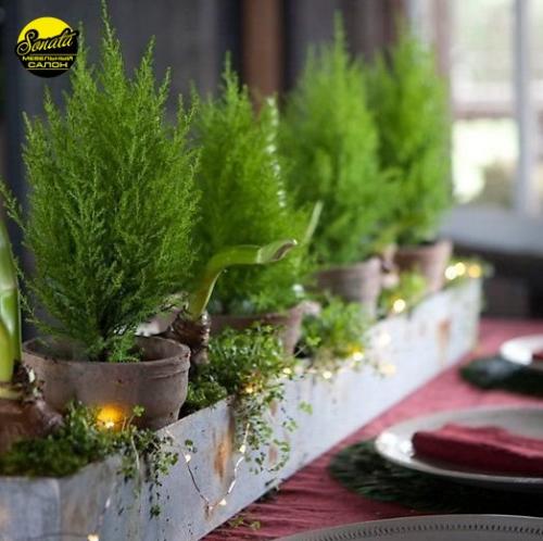 Все девушки и женщины пристрастно относятся к домашнему уюту, его созданию и поддержанию. 07