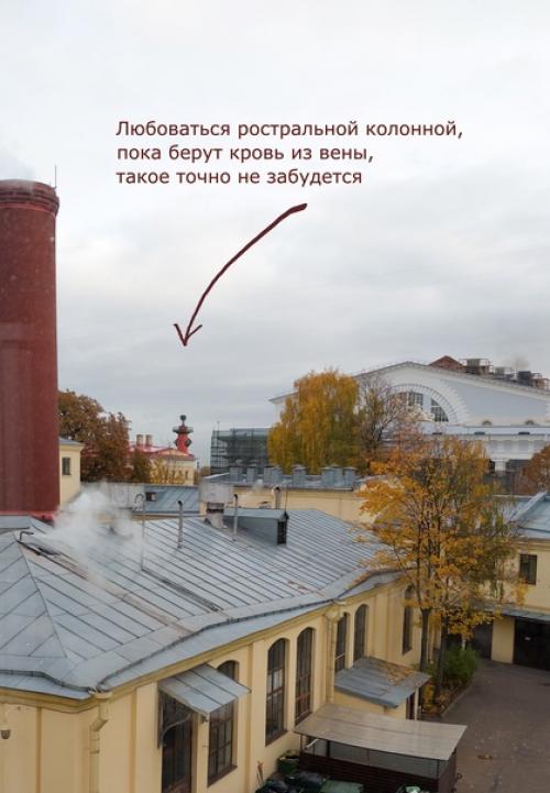 Лечь под нож хирурга по-петербуржски, это как? 01