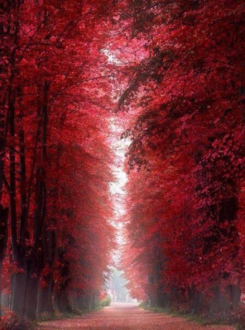 Осень в стиле Квентина тарантино. 02