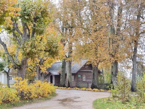 Дом пушкиных в Михаловском. 06