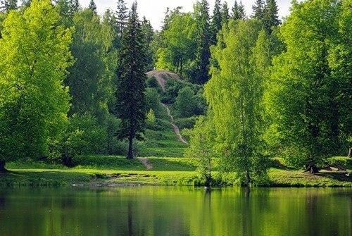 Прогулка по шуваловскому парку: 9 удивительных мест. 01