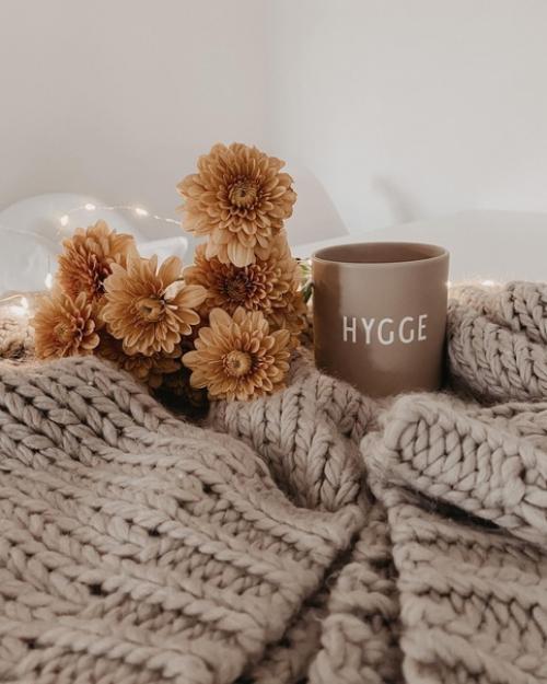 В дизайне интерьера скандинавские гостиные приобрели огромную популярность благодаря своей вневременной привлекательности и уютному очарованию. 07