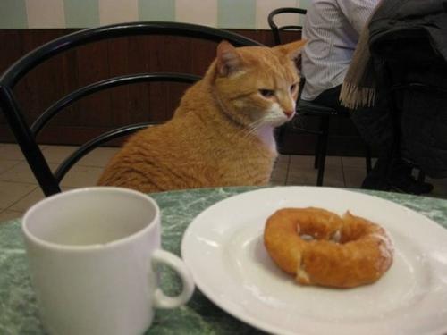 Легендарная пышечная на большой конюшенной. 02