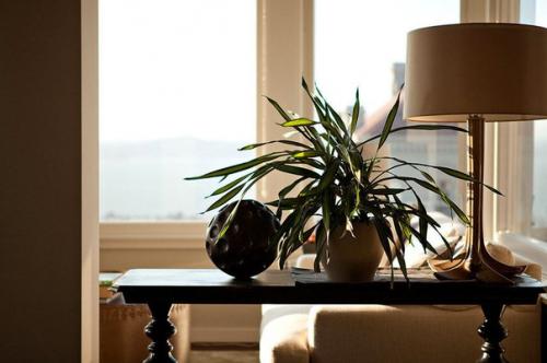 Пентхаус с террасой на крыше в Сан-Франциско! 01