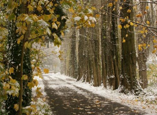 Где погулять в ноябре в Москве. 03